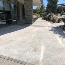 Genentech Pressure Washing 5