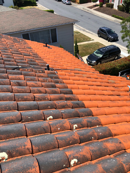 Roof cleaning san mateo